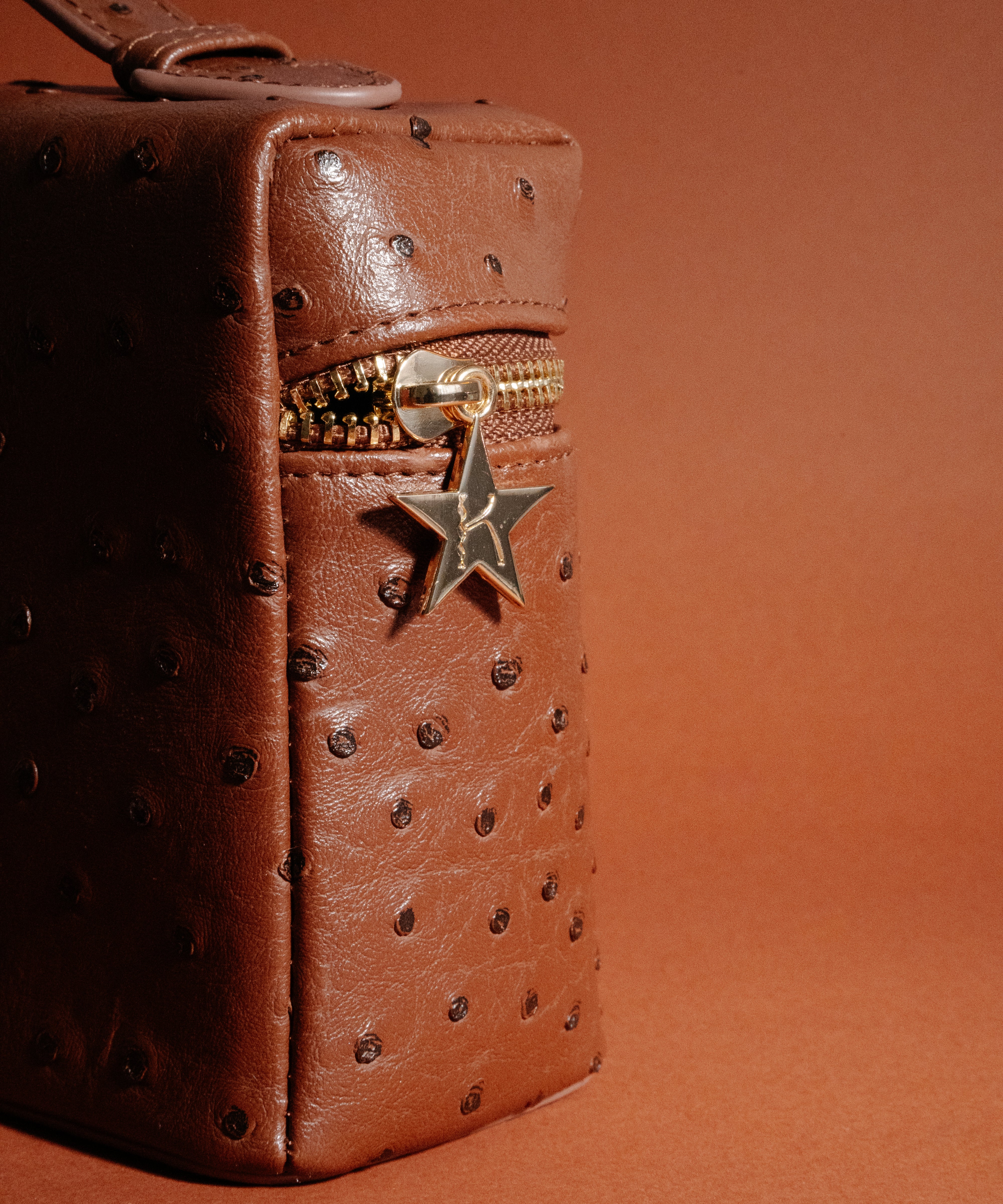 Goldie Jewellery Travel Bag Chocolate