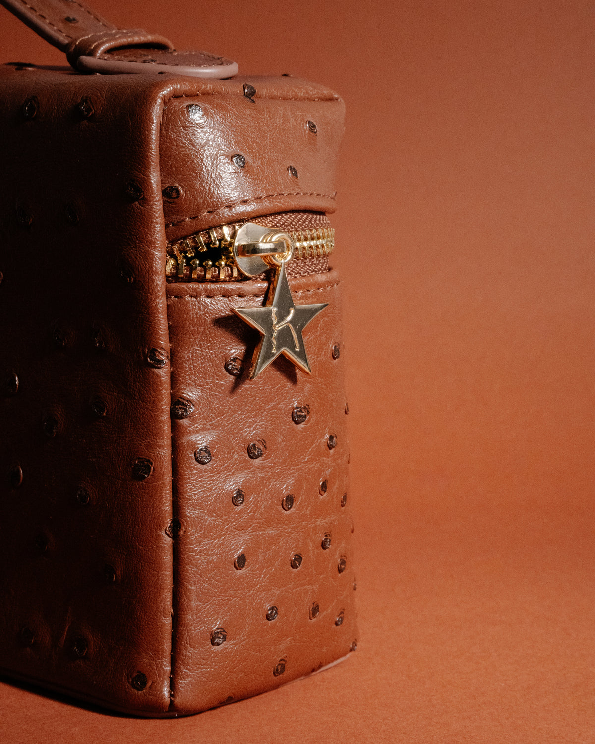 Goldie Jewellery Travel Bag Chocolate