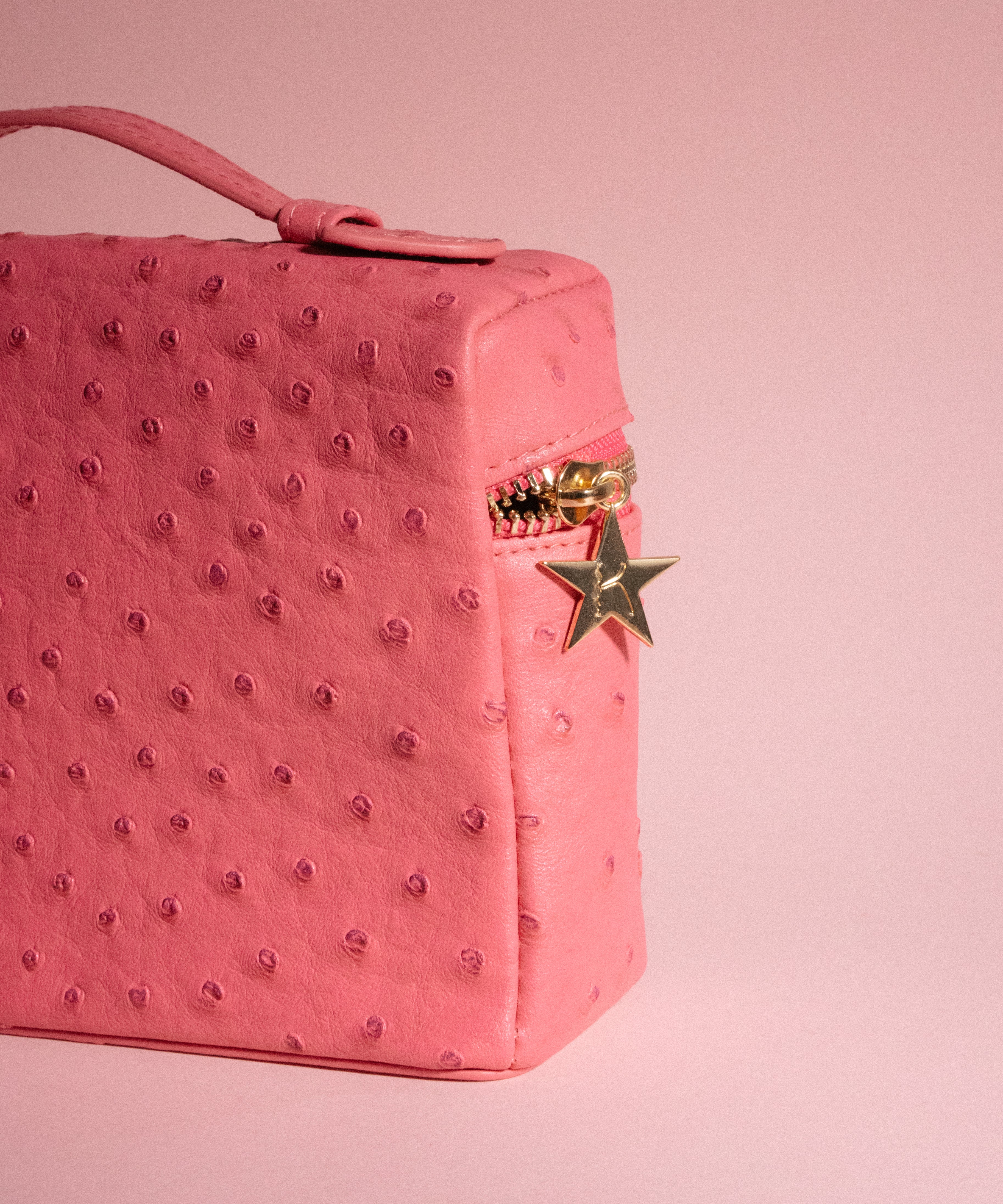 Goldie Jewellery Travel Bag in Pink
