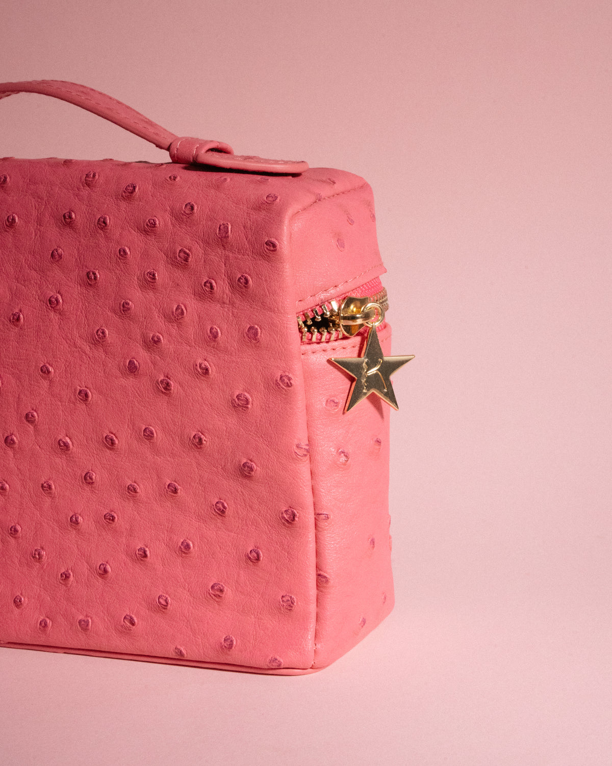 Goldie Jewellery Travel Bag in Pink