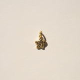 Star Charm