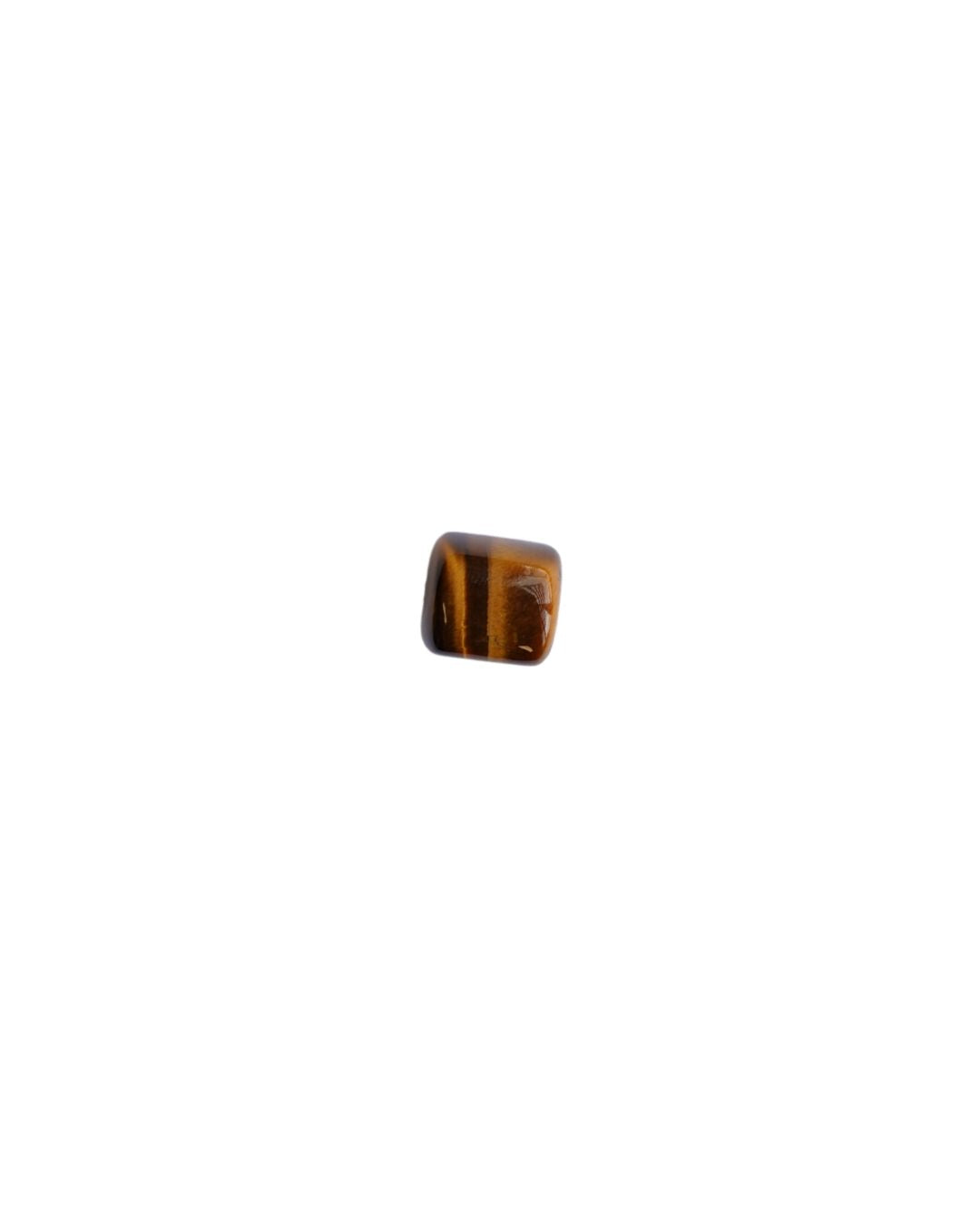 Tiger's Eye Charm