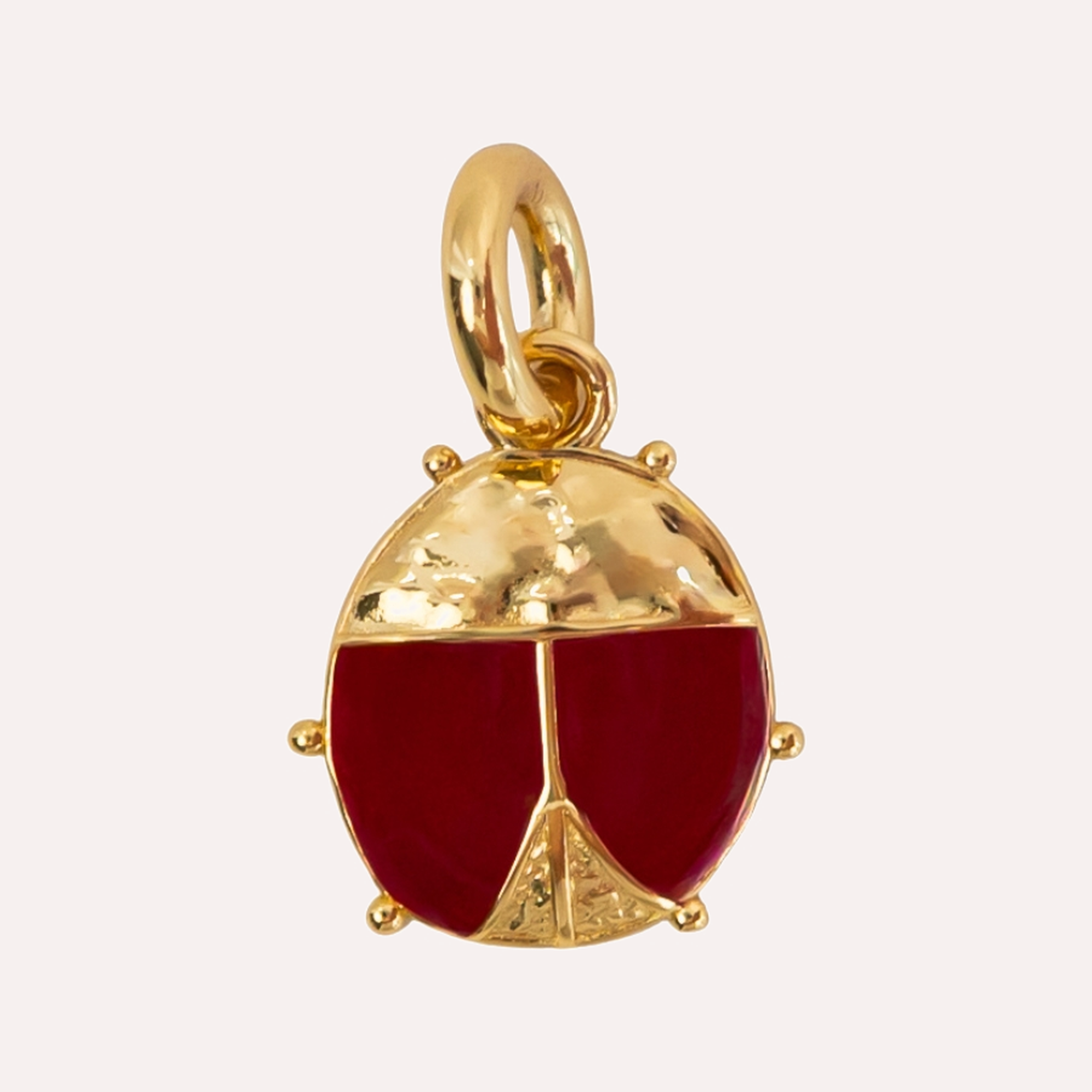 PRE-ORDER Ladybug Charm